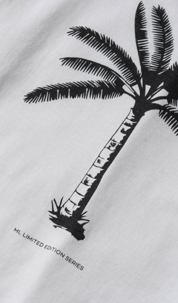Fluye LS Palm